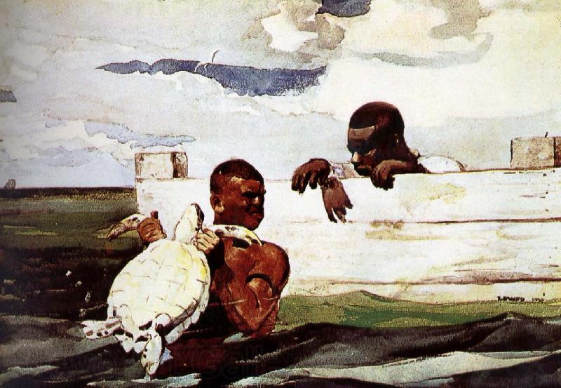 Winslow Homer Turtles captured in